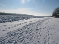 Resize of 100_0888.jpg