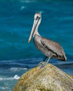 DSC_0179.jpg
