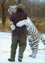 TigerLove.jpg