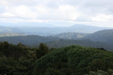 IMG_4945..jpg