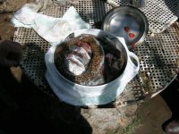 DSCN1517.jpg