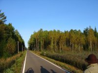 IMG_5416.jpg