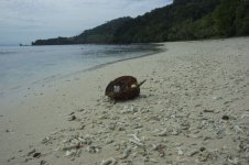 fiji2.jpg