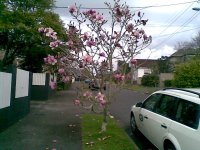 21082010(002).jpg