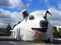 big-dog.jpg