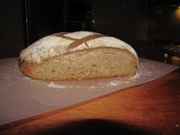 IMG_1000 (Small).jpg