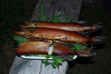 DSC_0744.jpg