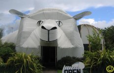 55057119.bigsheepwoolgallery.jpg