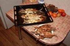 IMG_2270.jpg IMG_2270.jpg