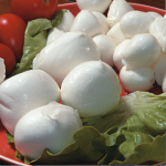 mozzarella.png