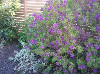 IMG_3855.jpg