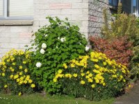 IMG_3857.jpg