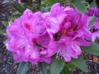 IMG_3884.jpg