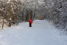 IMG_3369.jpg