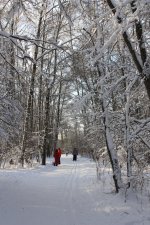 IMG_3356.jpg