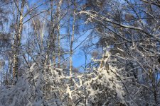 IMG_3346.jpg