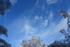 IMG_3375.jpg
