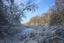 IMG_3325.jpg