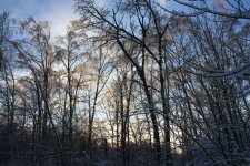 IMG_3384.jpg