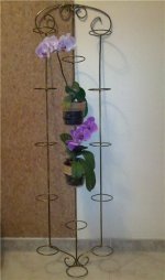 stand for orchids.jpg