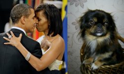 Pekines.jpg