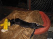PIC01687.jpg