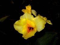 IMG_0088.jpg