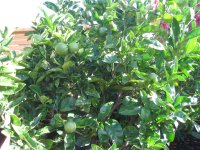 photo7.jpg