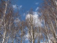 IMG_5929.jpg