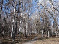 IMG_5933.jpg