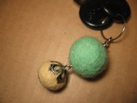 IMG_7249.jpg