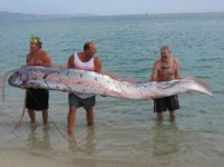 long fish.jpg