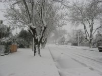 IMG_7307.jpg