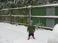 IMG_7312.jpg