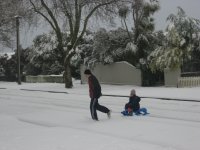 IMG_7321.jpg