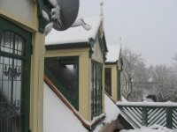 IMG_7315.jpg