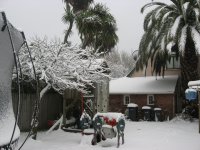 IMG_7324.jpg