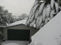IMG_7316.jpg