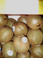 DSCF3378.jpg