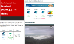nz-winter-westcoast-akl-typical.png