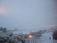 DSCF3421.JPG