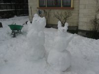 IMG_7346.jpg
