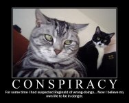 lolcats-conspiracy.jpg