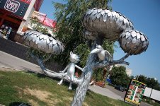 Котенок с улицы Лизюкова.jpg