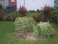 photo 2.JPG