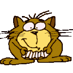 Welcome.gif