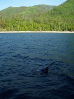 100_6596.JPG