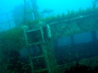 P1010051boat2.JPG