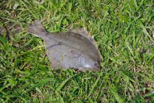 IMG_7679.jpg