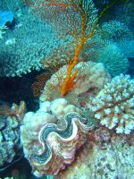 DSCF0728.JPG